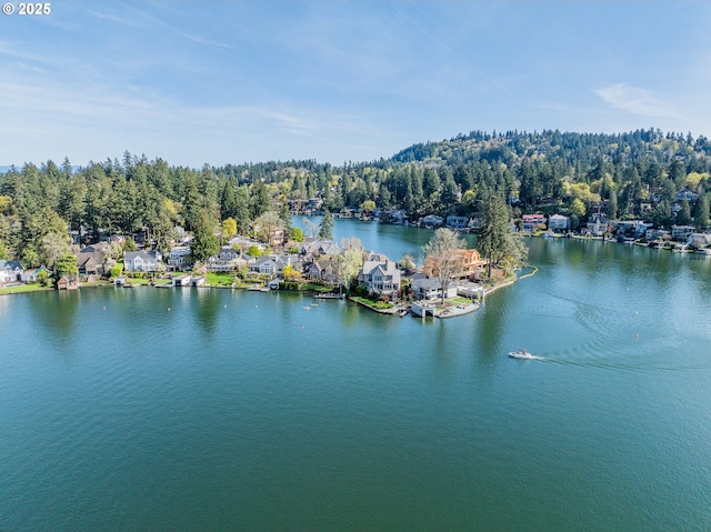 aerial view of a large body of water