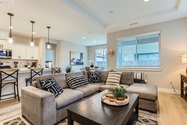 living room featuring light hardwood / wood-style floors and a raised ceiling