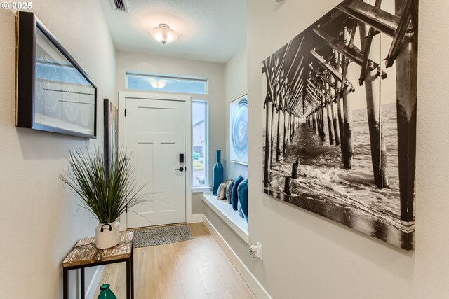 entryway featuring wood-type flooring