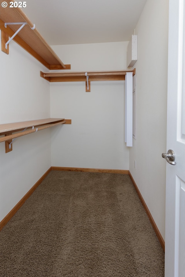 spacious closet with carpet floors