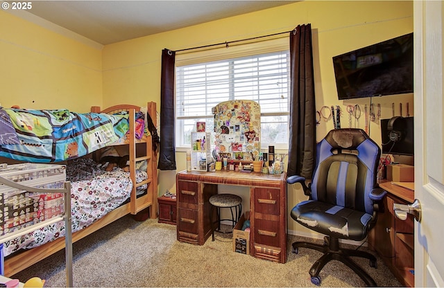 view of carpeted bedroom