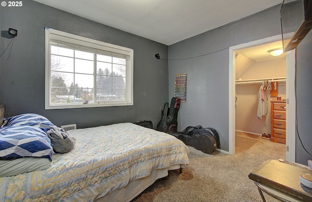 bedroom with a walk in closet, carpet floors, and a closet