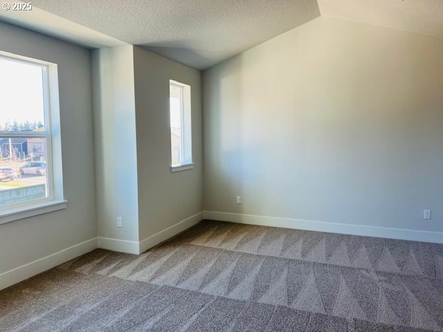 unfurnished room featuring plenty of natural light, carpet floors, lofted ceiling, and a textured ceiling