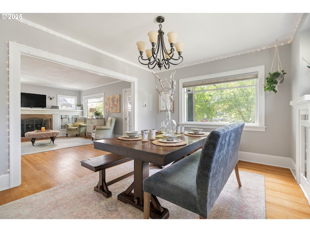 dining space featuring wood finished floors, a wealth of natural light, and a fireplace