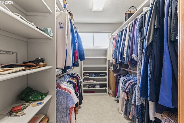 spacious closet with carpet flooring