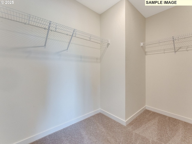 spacious closet with carpet