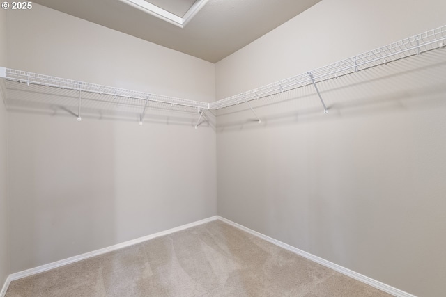 spacious closet featuring carpet floors