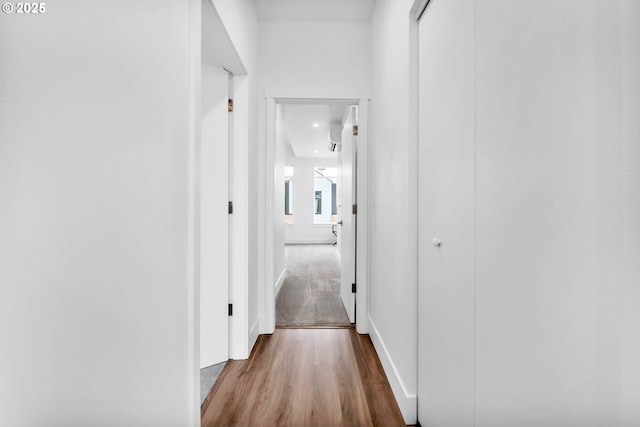 corridor featuring wood-type flooring