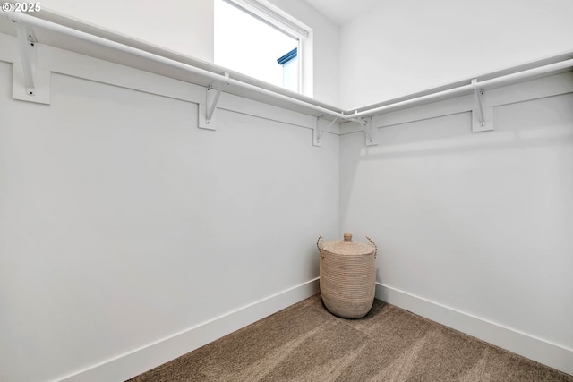 spacious closet with carpet flooring