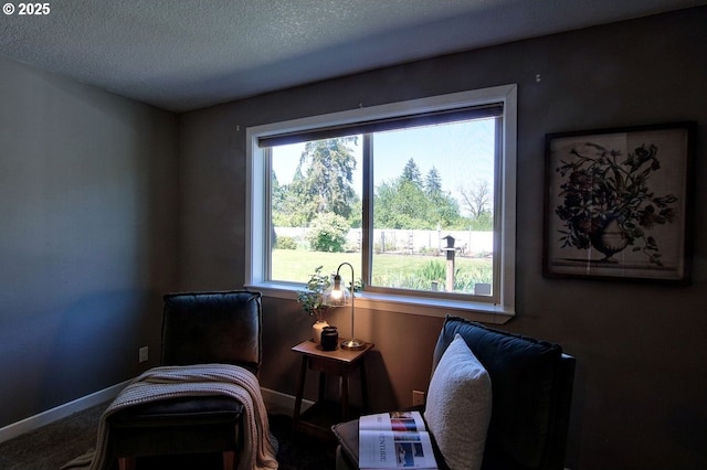 living area featuring a textured ceiling, baseboards, and carpet