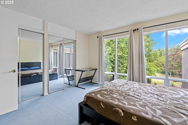 1659 NW Bridgeway Ln, Beaverton, OR 97006 - bedroom with carpet floors, multiple closets, and a textured ceiling