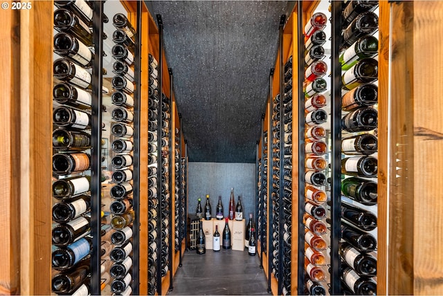 view of wine cellar