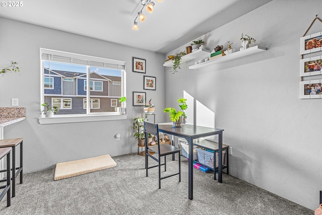 home office with carpet flooring and rail lighting