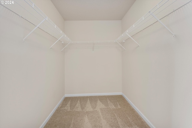 spacious closet featuring light carpet