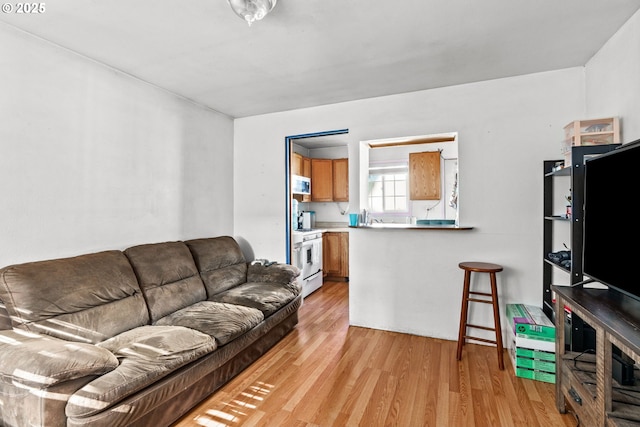 185 N Seneca Rd, Eugene, OR 97402 - living area featuring light wood-type flooring