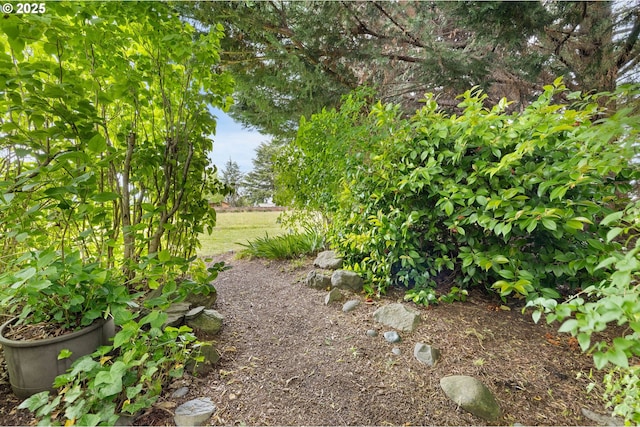 15787 SW Village Cir, Beaverton, OR 97007 - view of yard