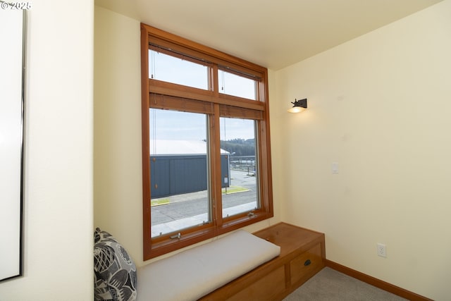 interior space with baseboards and carpet