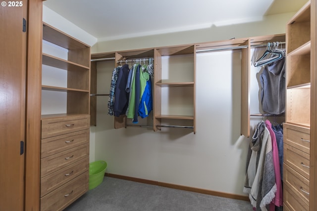 walk in closet with carpet