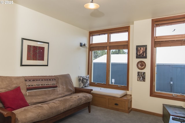 living area featuring baseboards and carpet flooring