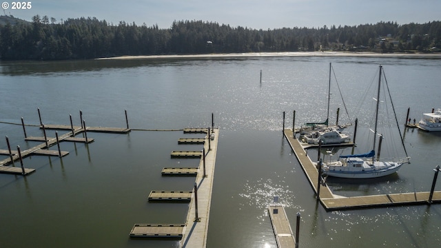 view of dock with a wooded view and a water view