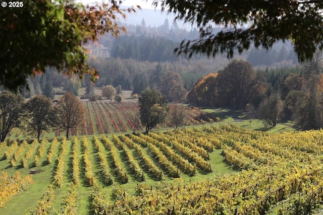 view of yard with a rural view