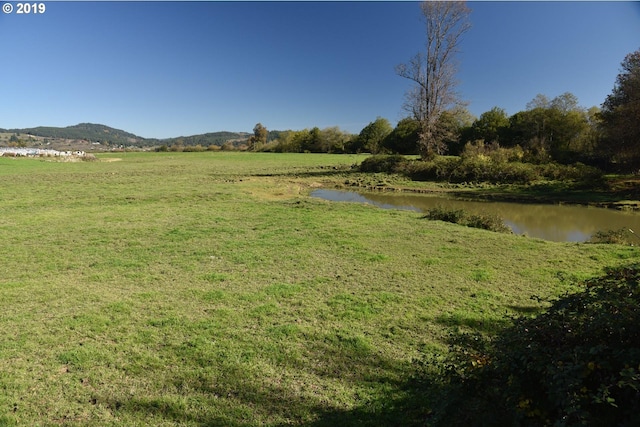 view of yard featuring a water and mountain view