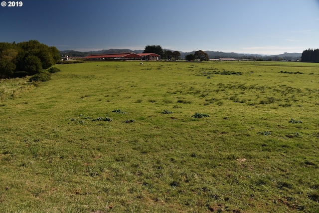 view of yard with a rural view