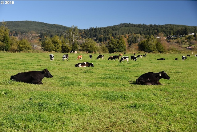 property view of mountains featuring a rural view