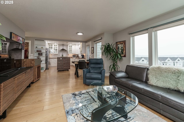 living room featuring light hardwood / wood-style floors