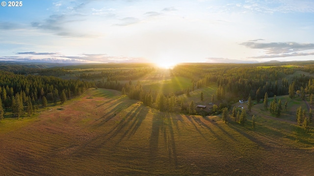 932 Zelinski Rd, Goldendale, WA 98620 - overview of rural landscape with a heavily wooded area