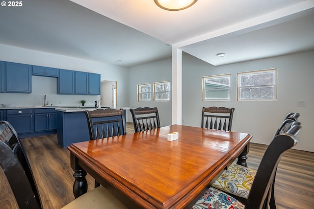 dining room featuring sink and dark hardwood / wood-style floors