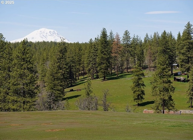 view of community with a mountain view and a yard