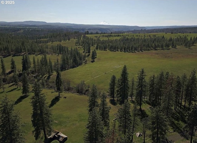 bird's eye view with a mountain view