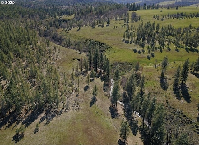 drone / aerial view with a rural view