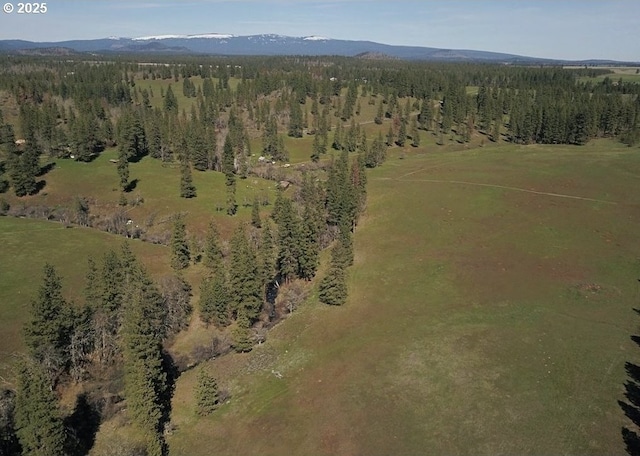 birds eye view of property featuring a mountain view