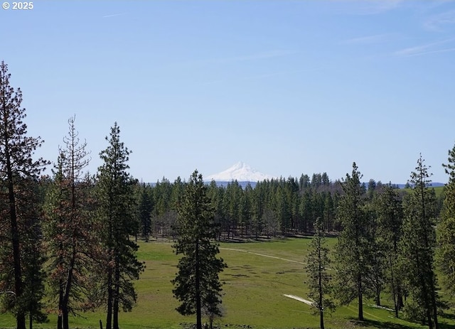 view of landscape featuring a mountain view