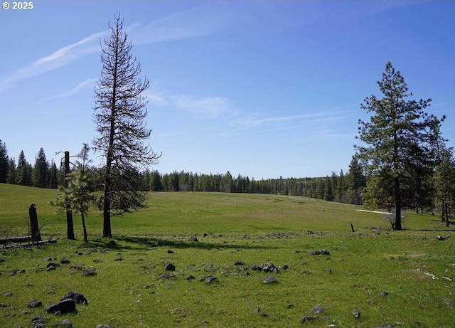 view of local wilderness featuring a rural view