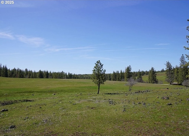 view of nature with a rural view