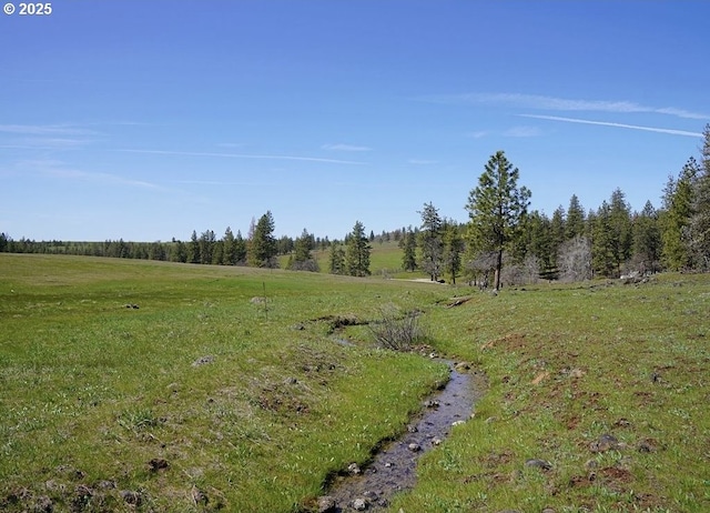 view of landscape featuring a rural view