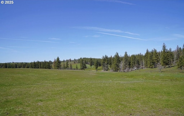 view of local wilderness featuring a rural view