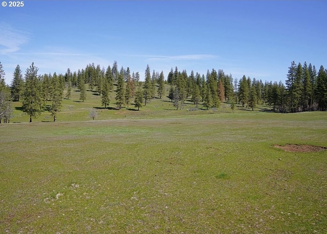 view of community with a yard