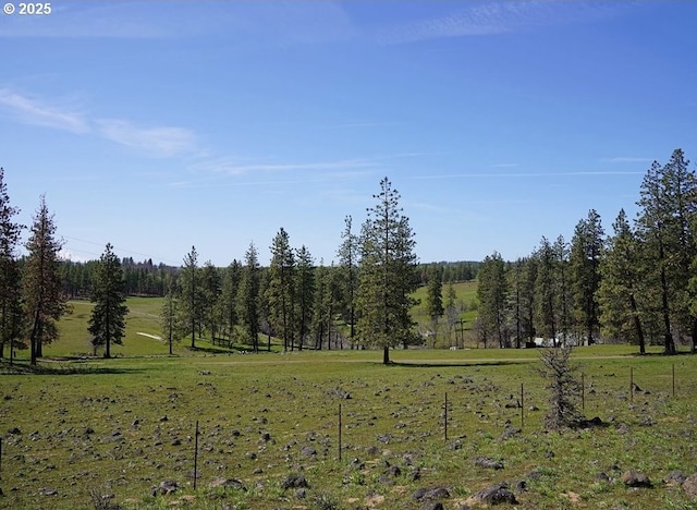 view of landscape featuring a rural view