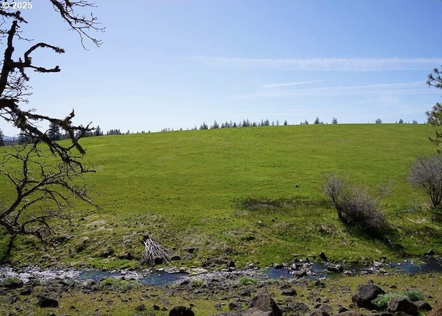 view of nature featuring a rural view