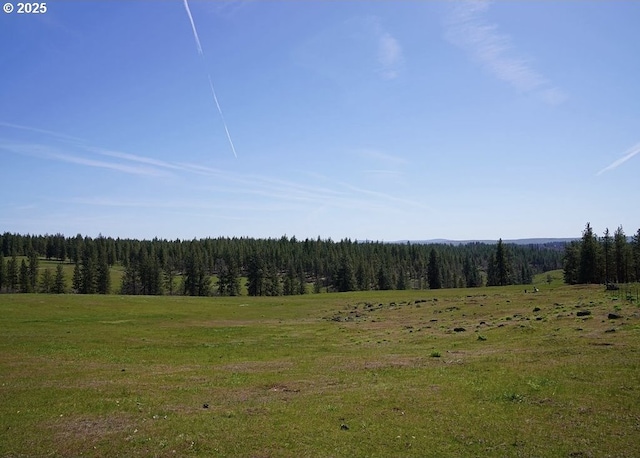 view of local wilderness with a rural view