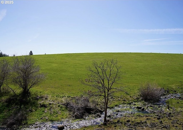 view of local wilderness with a rural view