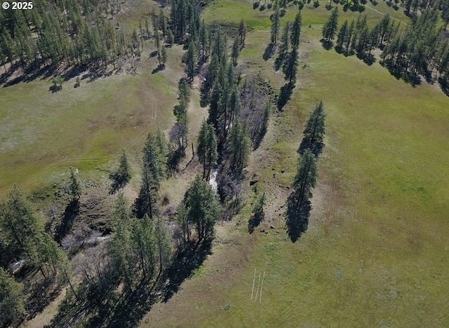 bird's eye view with a rural view