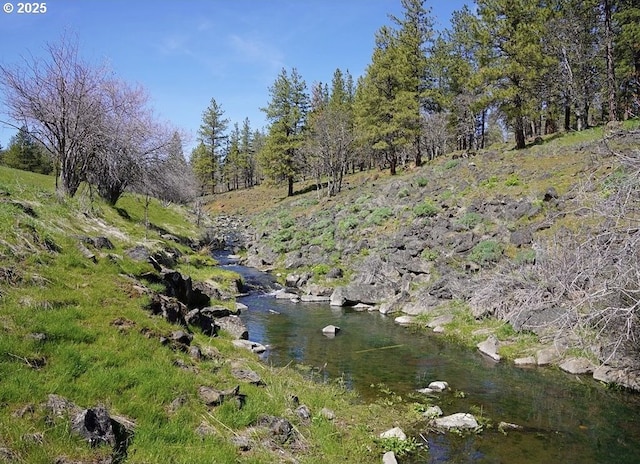 view of nature