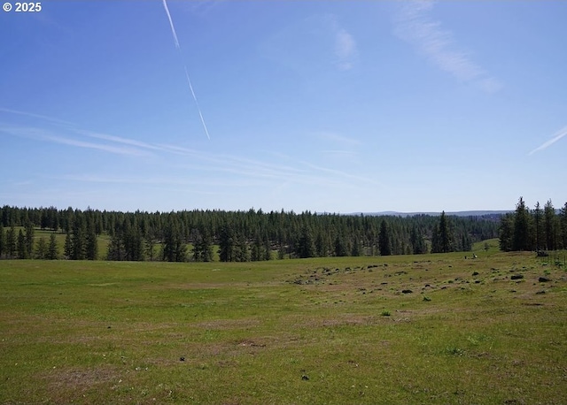 932 Zelinski Rd, Goldendale, WA 98620 - view of nature featuring a view of trees and a rural view