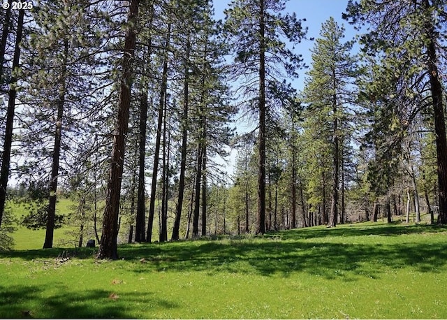 932 Zelinski Rd, Goldendale, WA 98620 - view of nature with a view of trees