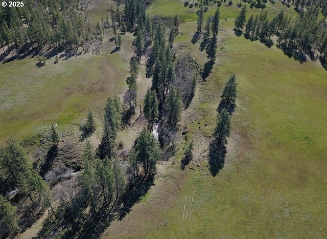 932 Zelinski Rd, Goldendale, WA 98620 - aerial overview of property's location